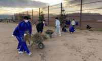 2学年部除草運搬