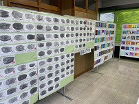 IMG_2494