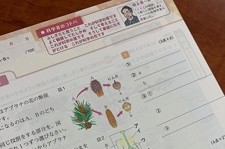冬ワーク１
