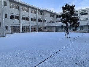 雪の中庭