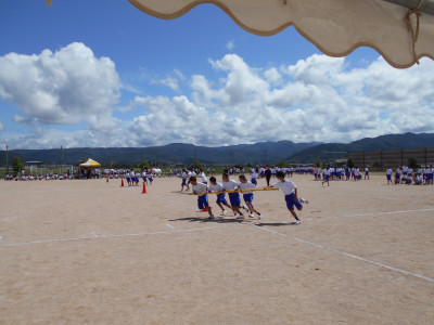 DSCN0130