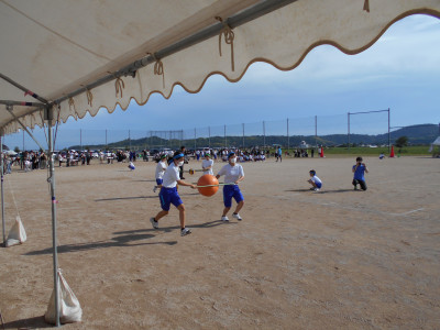 DSCN0234