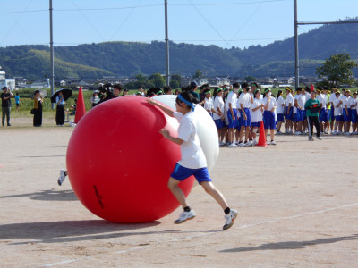 DSCN0251