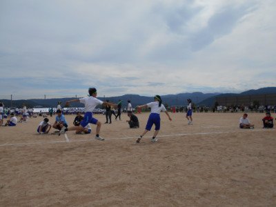DSCN0353